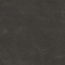 Charcoal